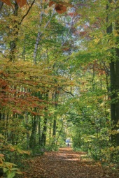resized_fall08_9.jpg